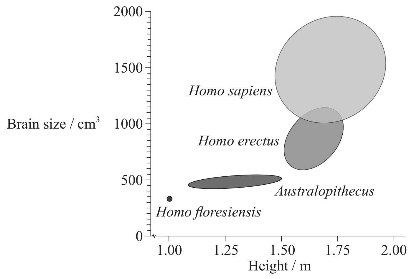 Figure for Question A3.1 Diversity of organisms question 2 — IB Biology HL