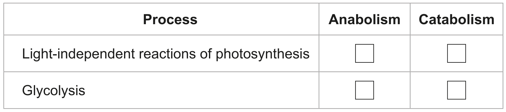 Table for Question (a) — IB Biology HL