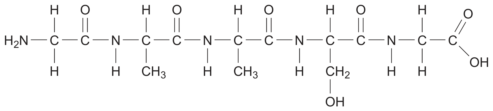 Figure for Question B1.2.2—Condensation reactions question 1 — IB Biology HL