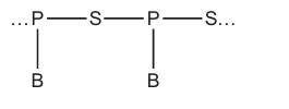 Figure for Question A1.2 Nucleic acids question 3 — IB Biology HL — Option B