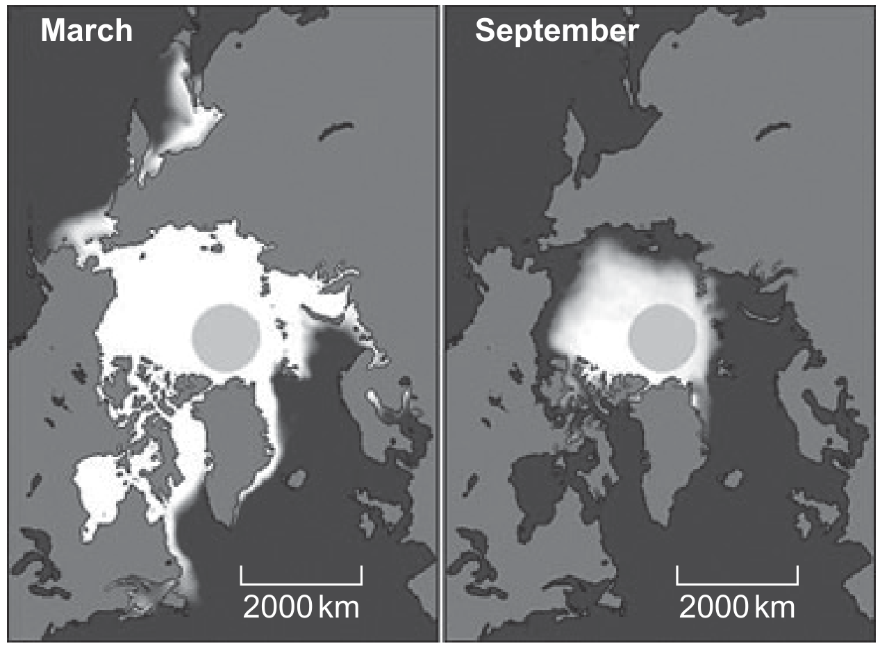 Seasonal changes in Arctic sea ice