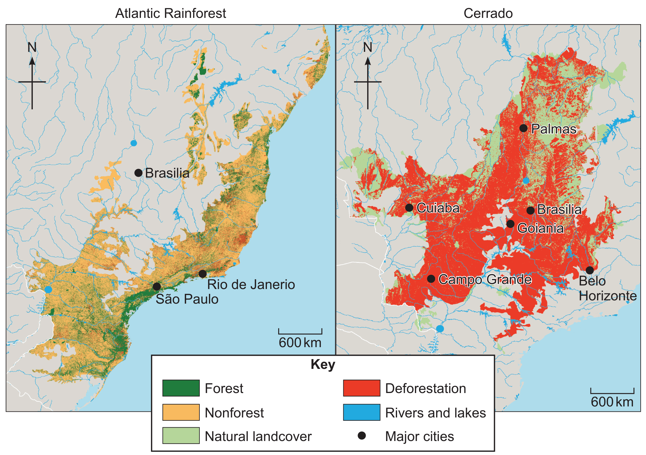 Figure: Deforestation in the Atlantic Rainforest and the Cerrado