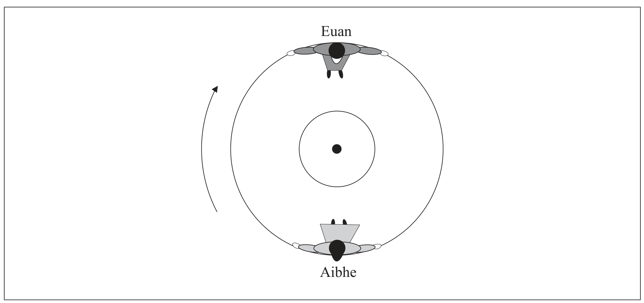 Figure for Question A.2.25—Direction change in circular motion question 1 — IB Physics SL