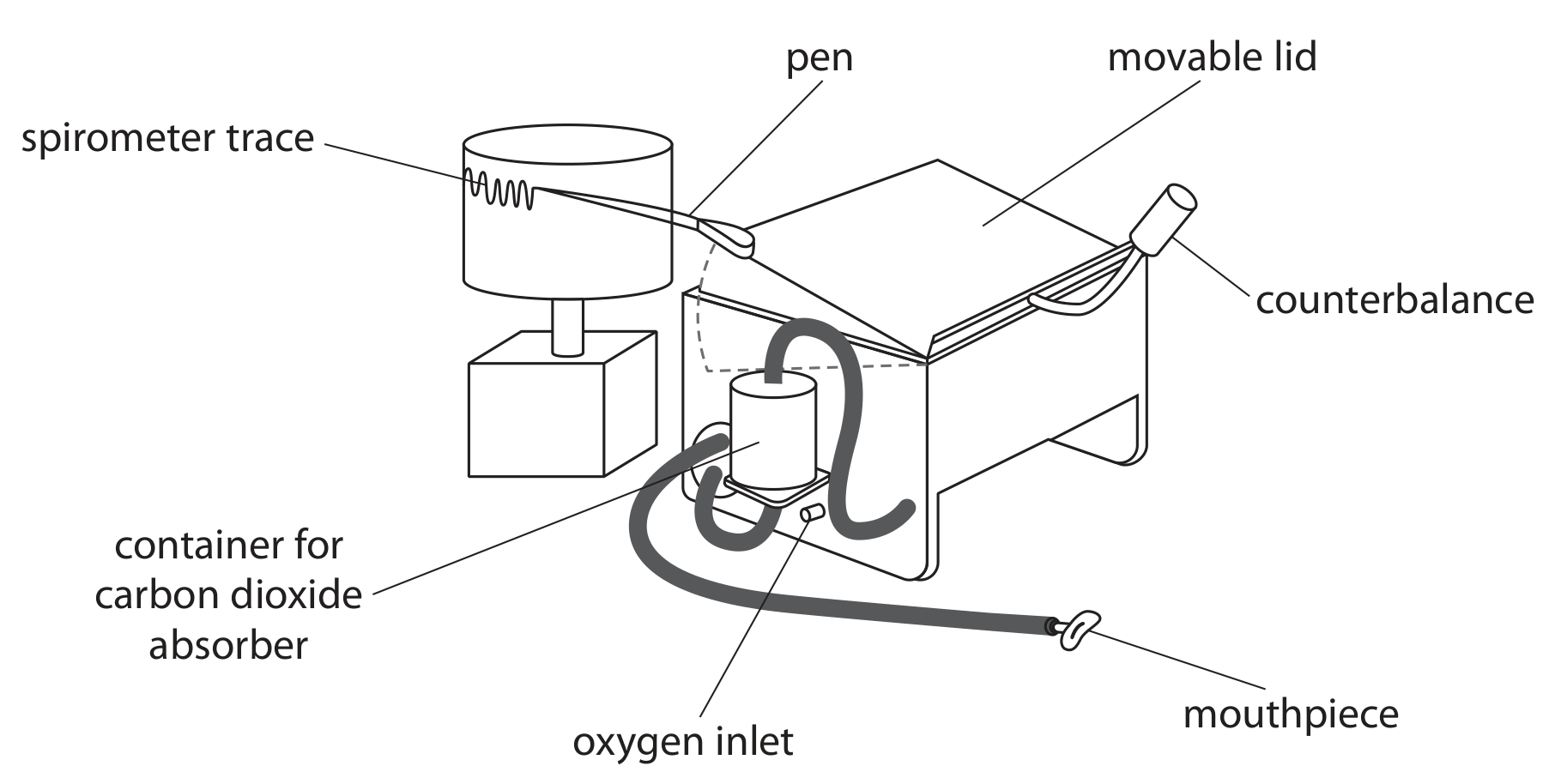 Figure for Question 7.15—Core Practical 17 - exercise and spirometer traces question 1 — Edexcel A-Level Biology A2