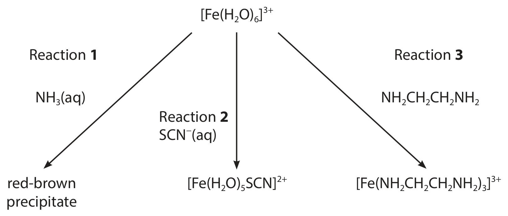 Figure for Question 17.23—Write ionic equations to show the meaning of amphoteric behaviour, deprotonation and ligand exchange in the reactions question 1 — Edexcel A-Level Chemistry A2