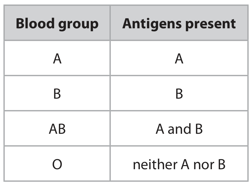 Table for Question 2.60 Transport by blood plasma question 1 — Edexcel IGCSE Biology