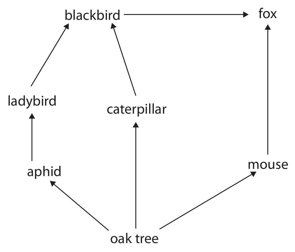 Figure for Question 4.1 Ecology terms question 1 — Edexcel IGCSE Biology