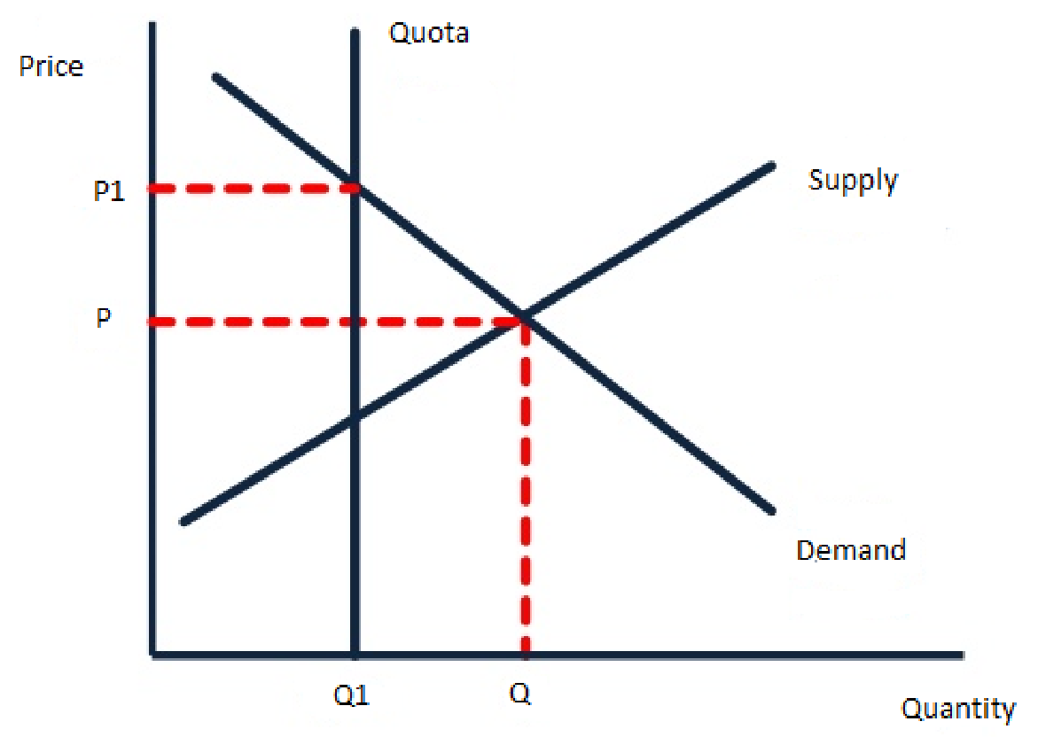 Figure for Answer to Question (a) — Edexcel IGCSE Economics