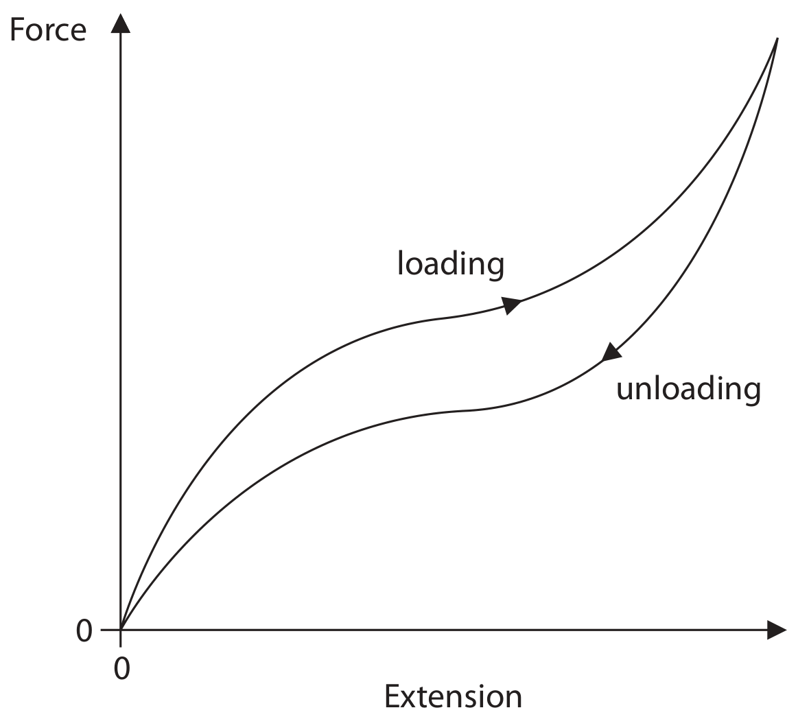 Figure for Question 1.24 Elastic behaviour question 1 — Edexcel IGCSE Physics