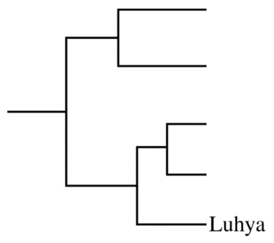 Figure for Question 6.7 Mutations question 3 — AP Biology