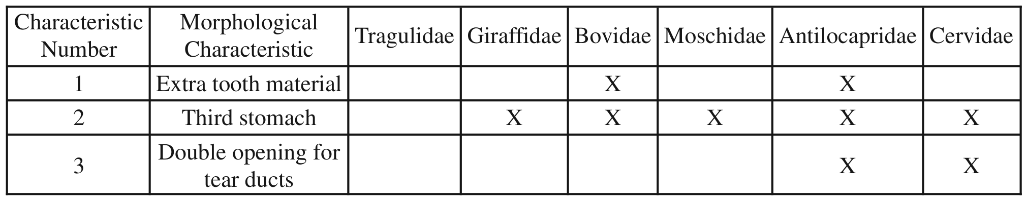 TABLE 1. MORPHOLOGICAL CHARACTERISTICS FOUND IN EACH RUMINANT FAMILY
