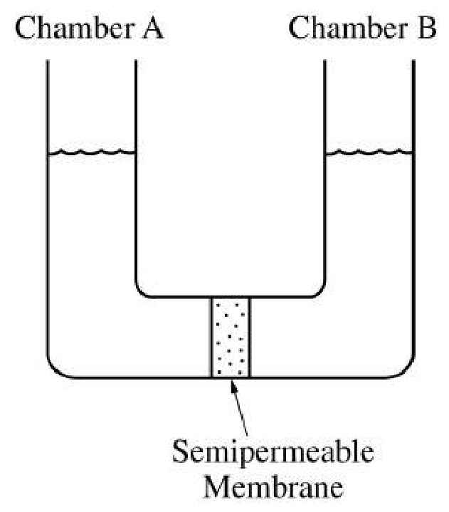 Figure for Question 1 Chemistry of Life question 1 — AP Biology