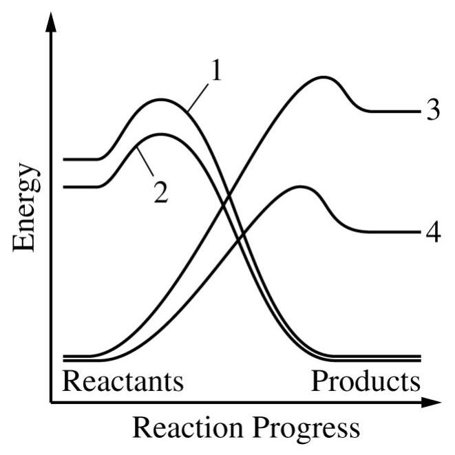 Figure 1. Change in energy over the course of four chemical reactions