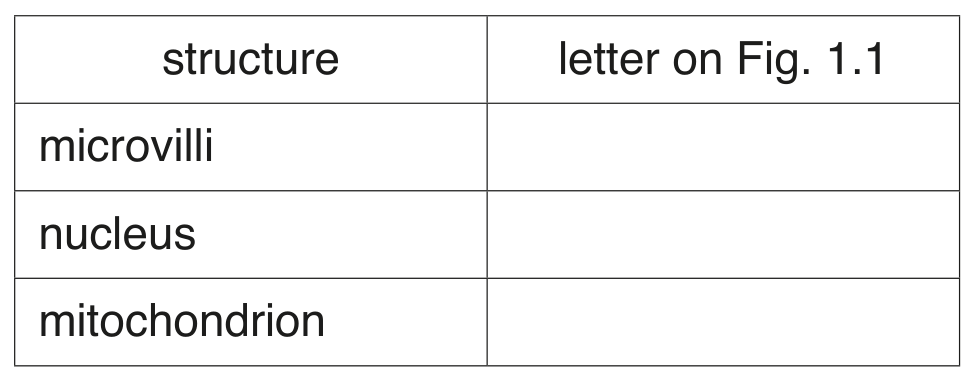 Table for Question (i) — CAIE IGCSE Biology