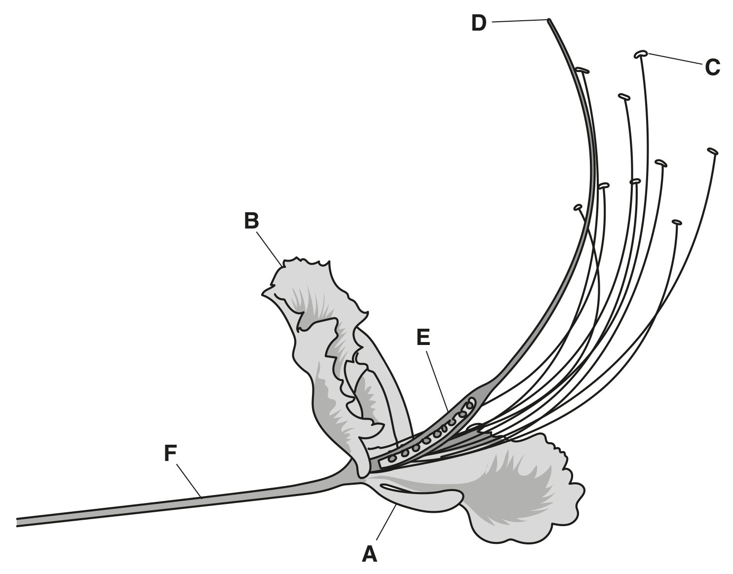Fig. 6.1