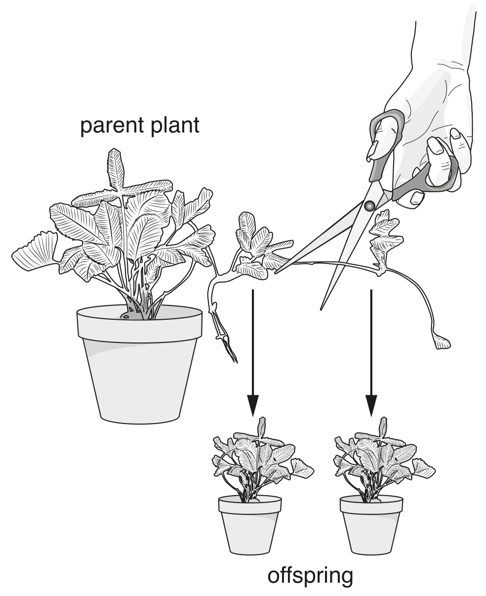 Fig. 2.3