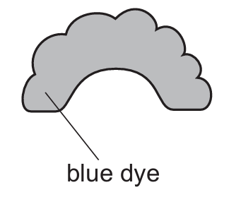 Figure for Question 8.2.4—Investigate, using a suitable stain question 1 — CAIE IGCSE Biology — Option D