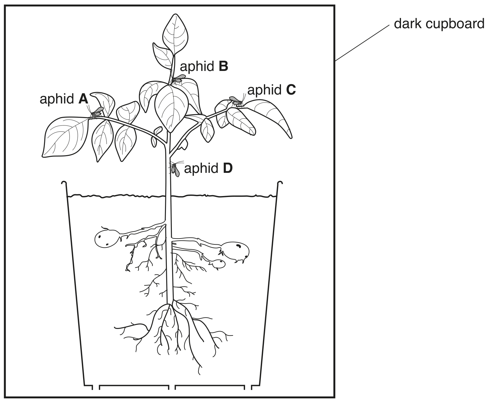 Fig. 2.3