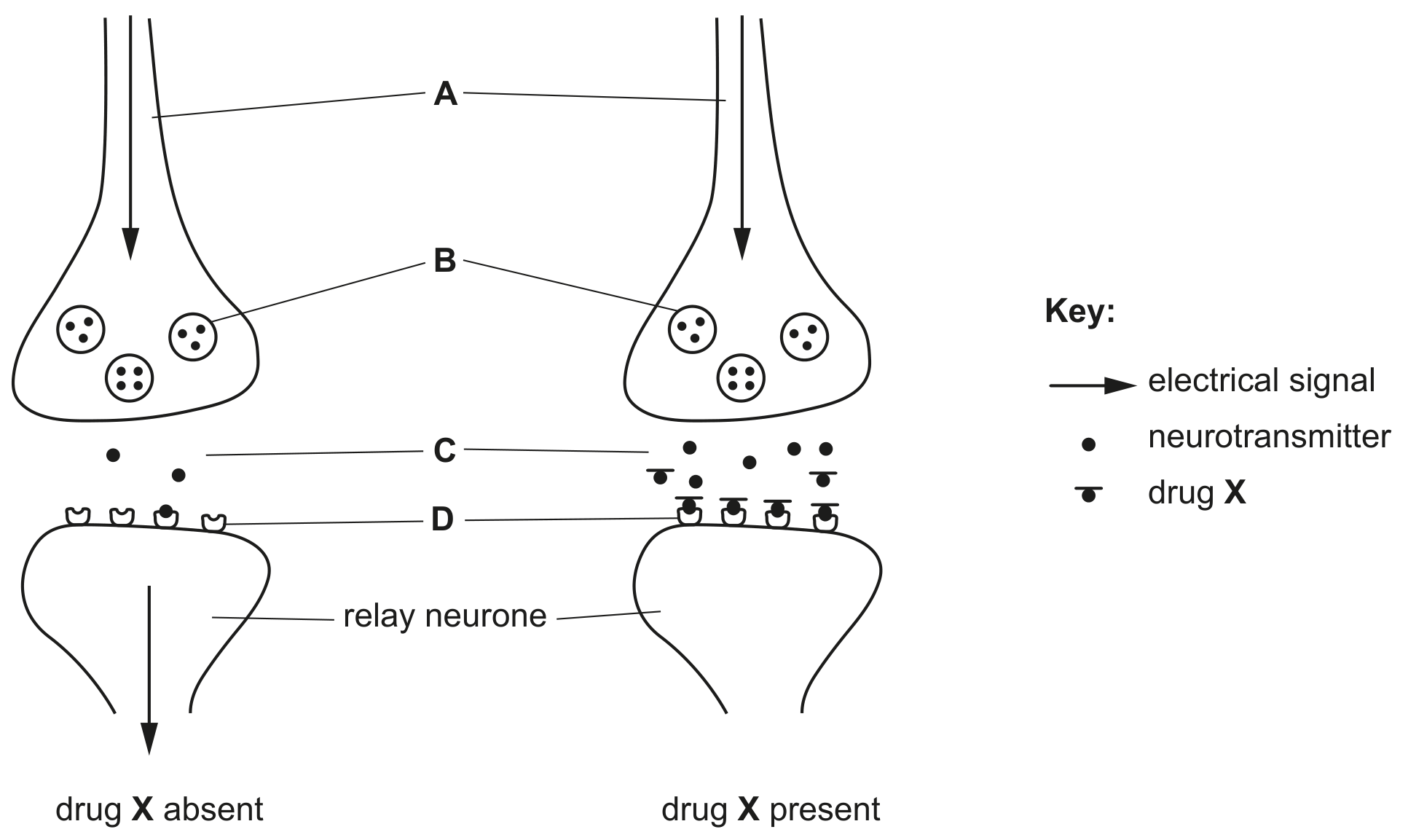 Fig. 2.2