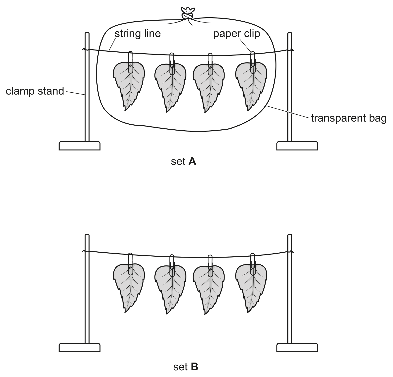 Fig. 6.1