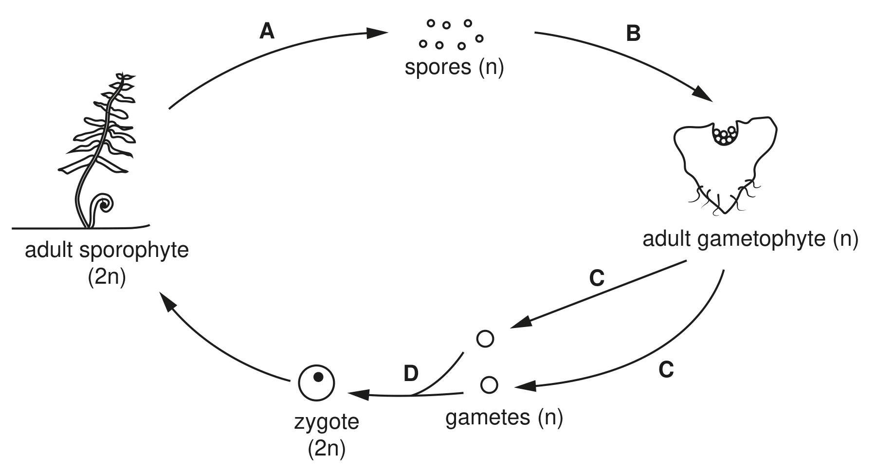 Fig. 3.2