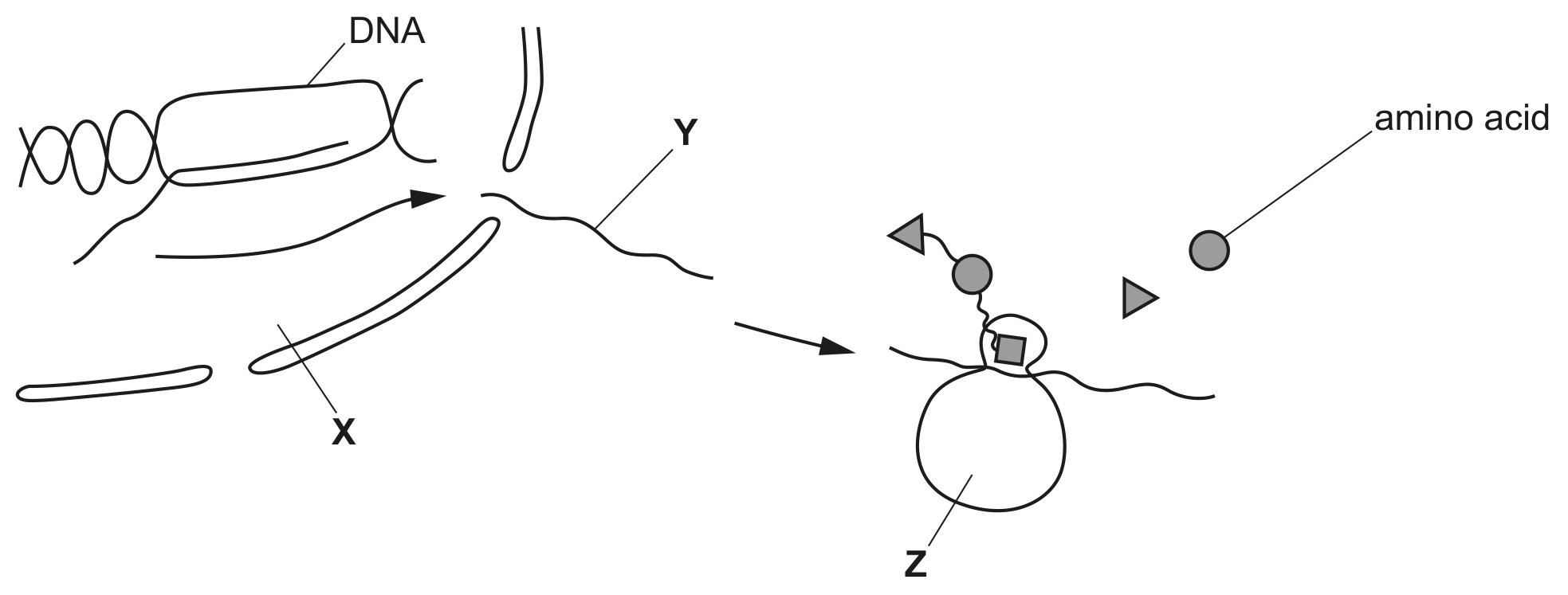 Fig. 5.1