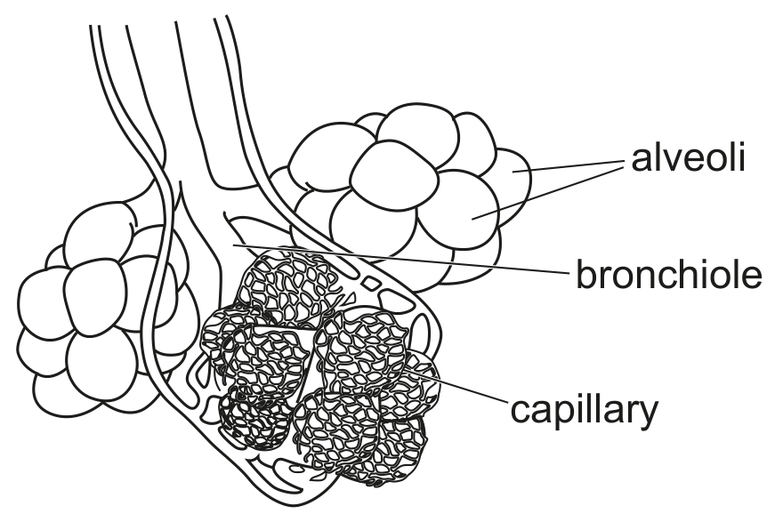 Fig. 3.1