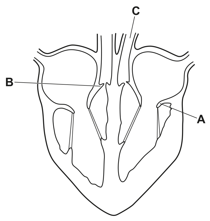 Fig. 2.1