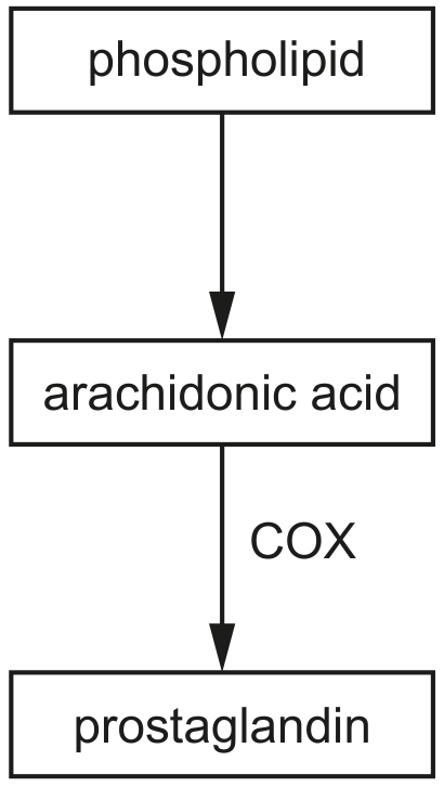 Fig. 1.3
