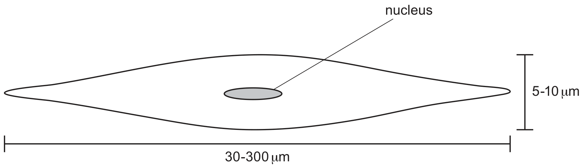 Fig. 1.1