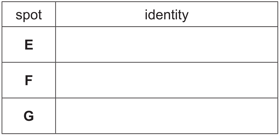 Table for Question (c) — CAIE A-Level Chemistry A2