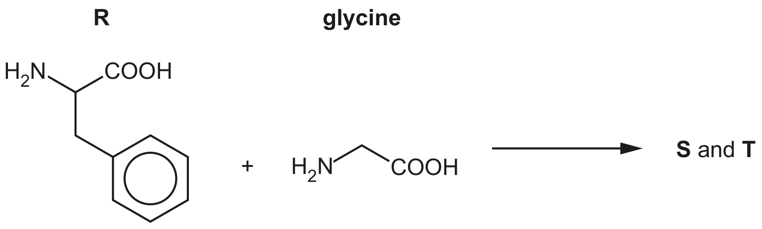 Figure for Question (iii) — CAIE A-Level Chemistry A2