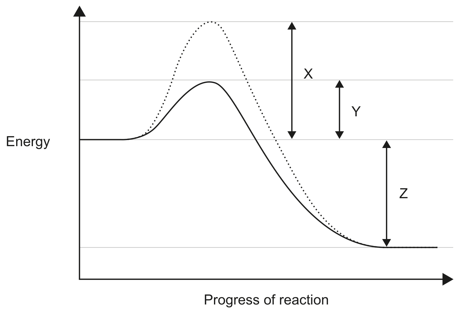 Figure for Question C1.1.10—Effect of enzymes on activation energy question 1 — IB Biology SL