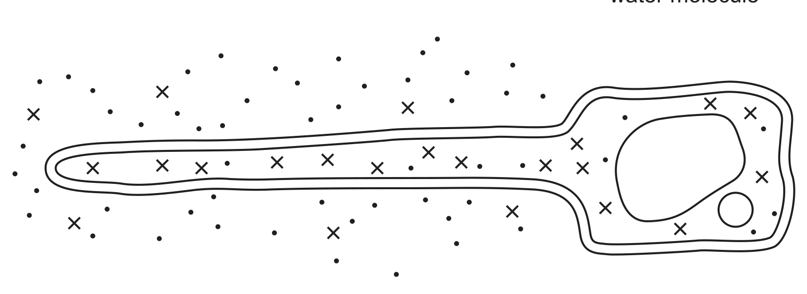 Fig. 5.1