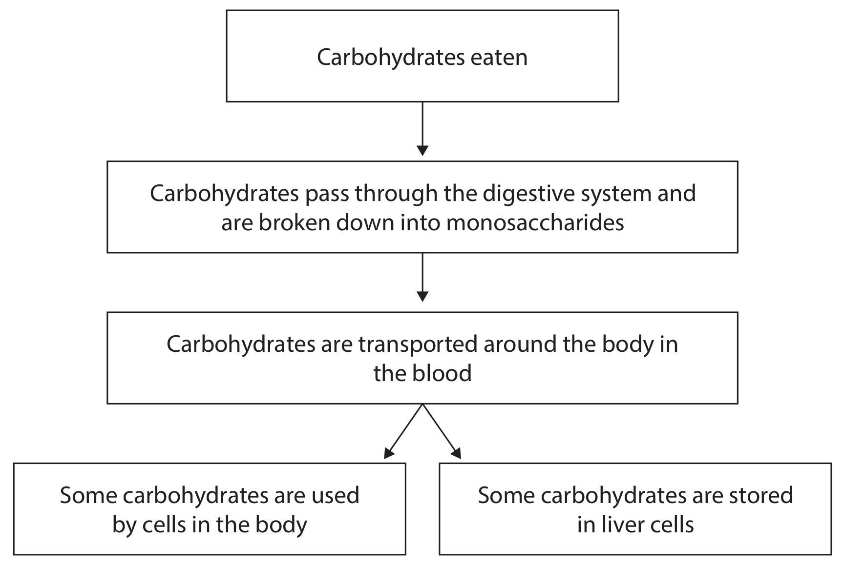 Figure for Question (b) — Edexcel A-Level Biology AS