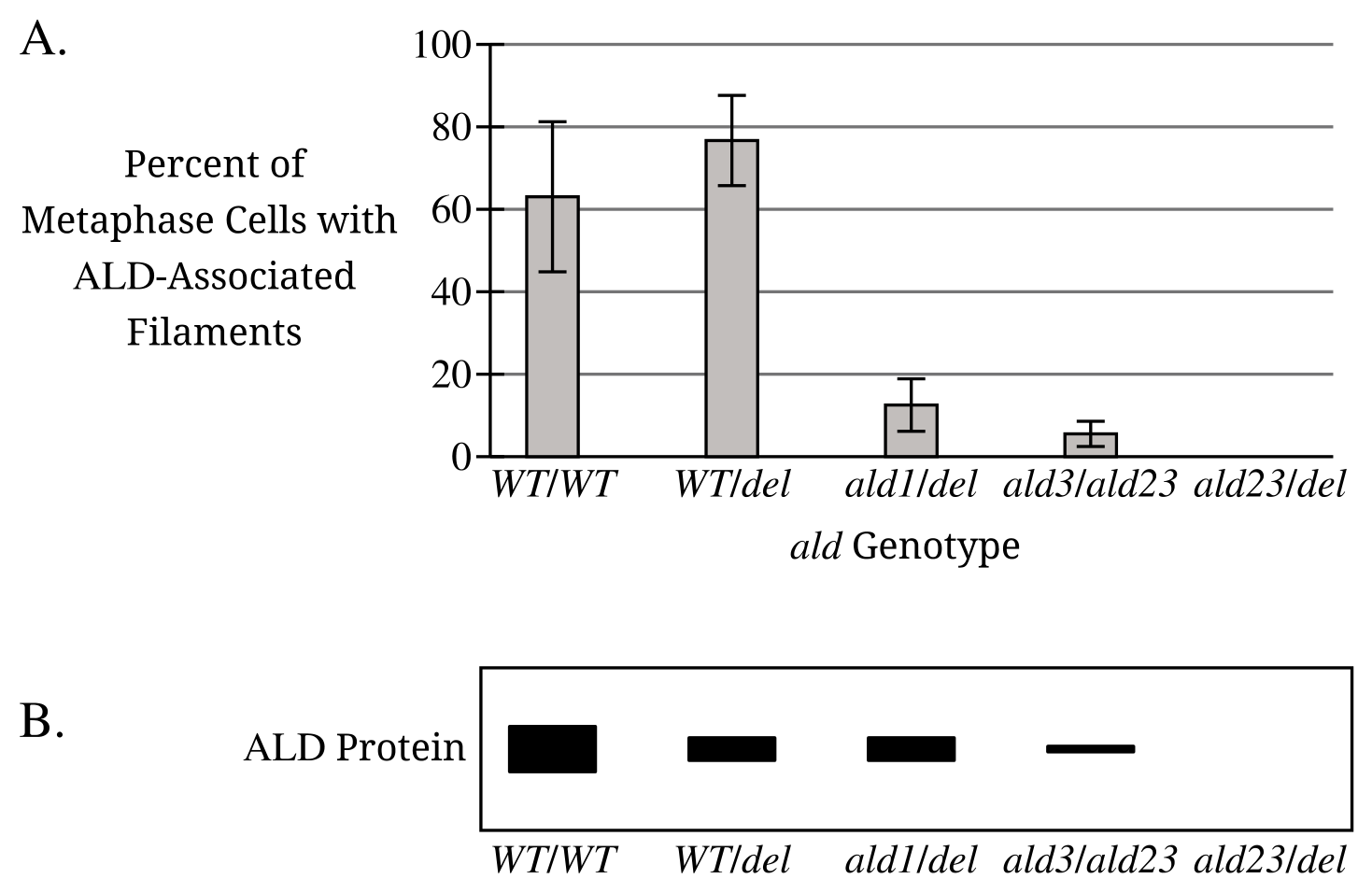 Figure for Question 6.7 Mutations question 2 — AP Biology